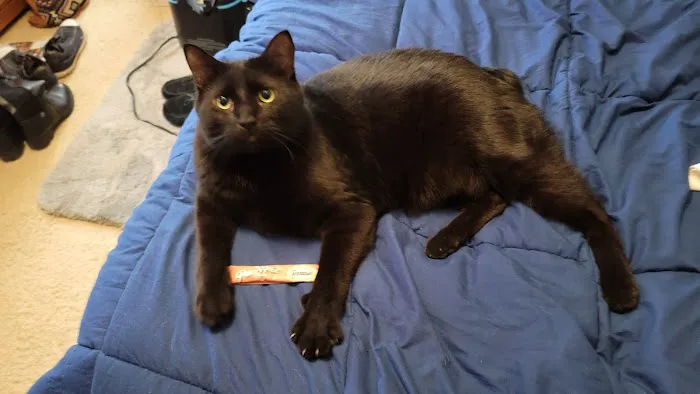 Associated Veterinary Clinic Picture 2