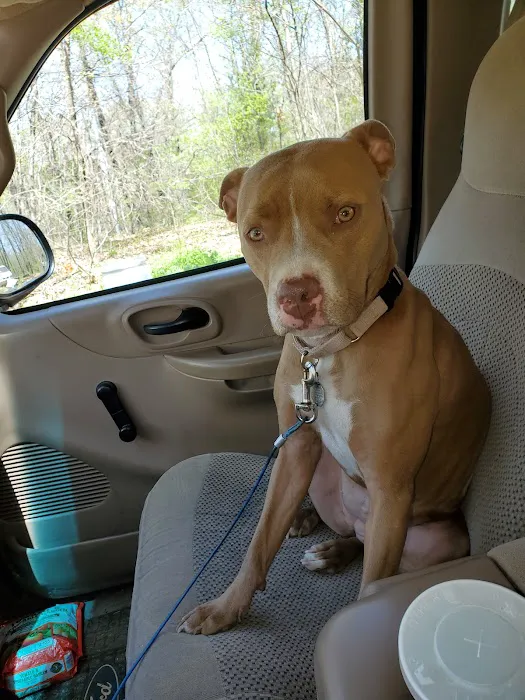 Associated Veterinary Clinic Picture 1