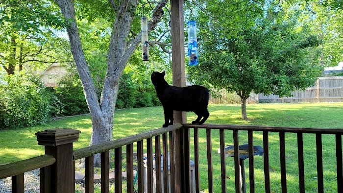 Associated Veterinary Clinic Picture 7