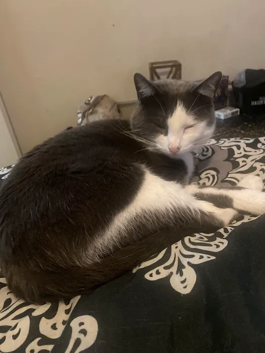 Associated Veterinary Clinic Picture 6