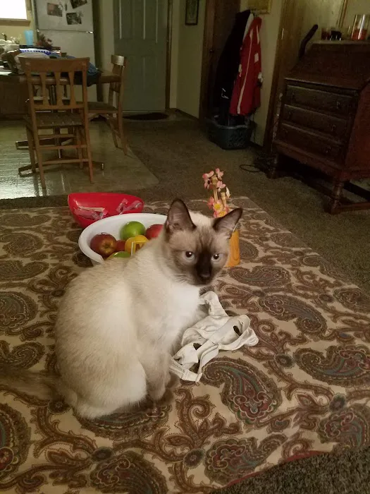 Associated Veterinary Clinic Picture 9