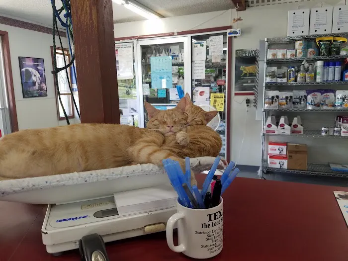 Associated Veterinary Clinic Picture 8