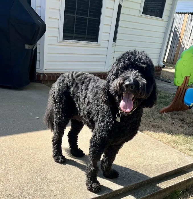 Hancock Veterinary Services Picture 1