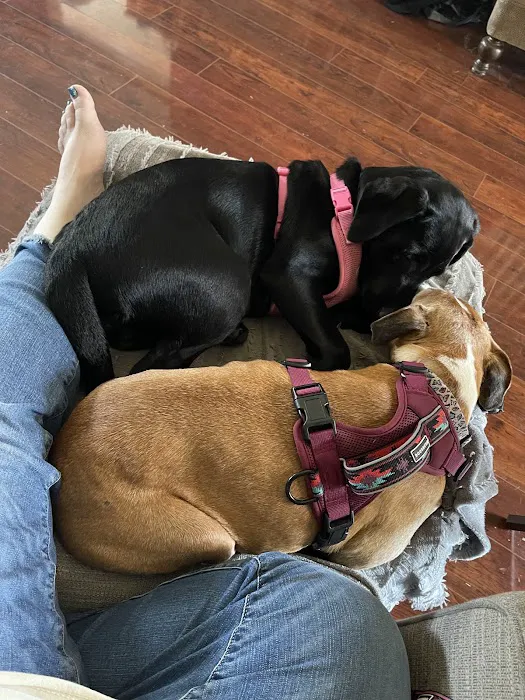 Hancock Veterinary Services Picture 3