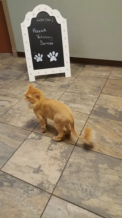 Hancock Veterinary Services Picture 2