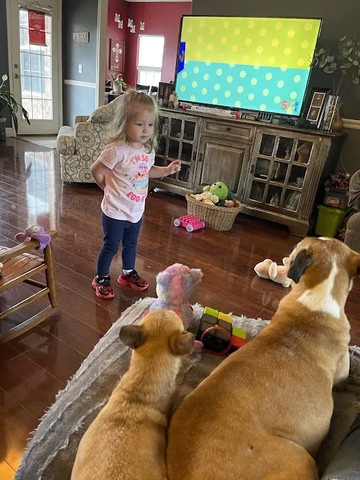 Hancock Veterinary Services Picture 5