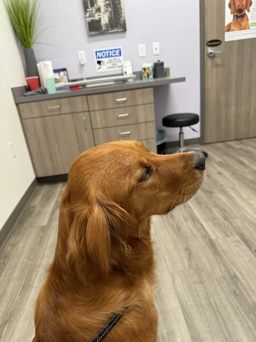 Hancock Veterinary Services Picture 8