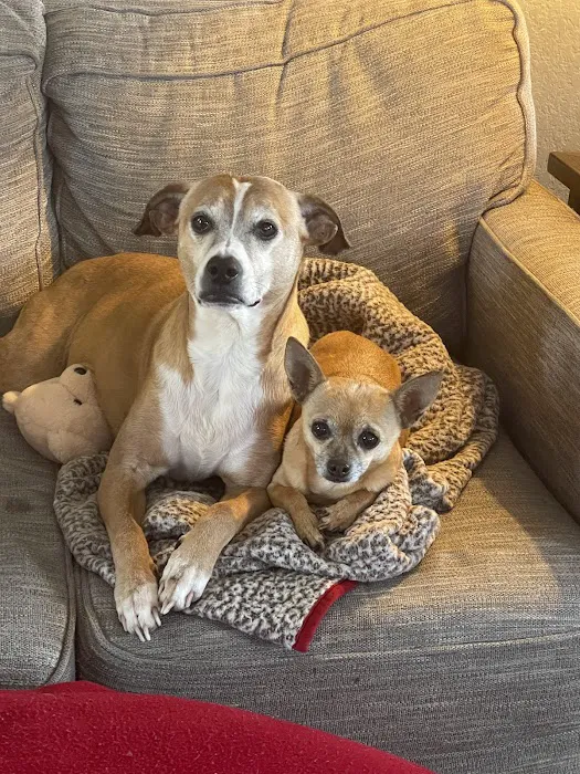 Hancock Veterinary Services Picture 6