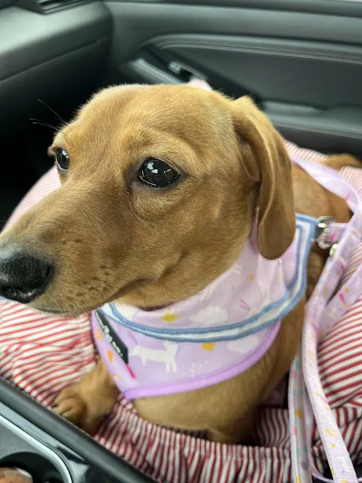 Hancock Veterinary Services Picture 7