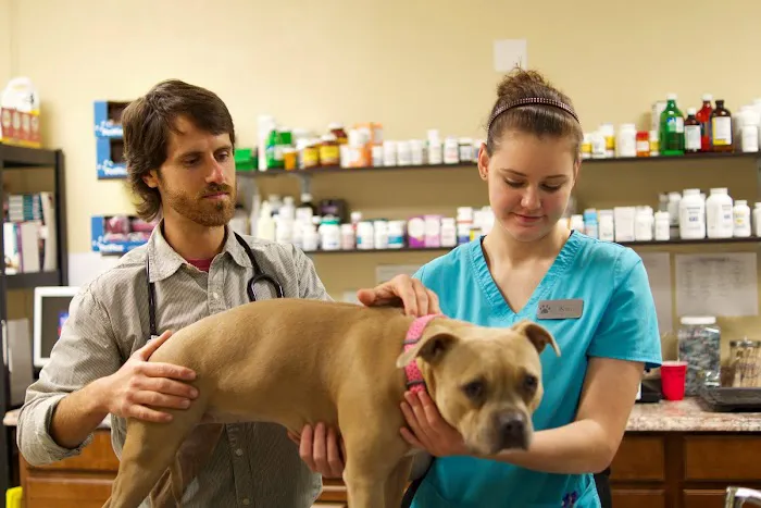 Hancock Veterinary Services Picture 10