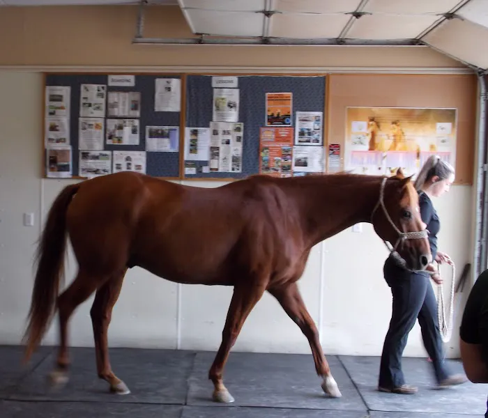 Northwest Equine Services Picture 4