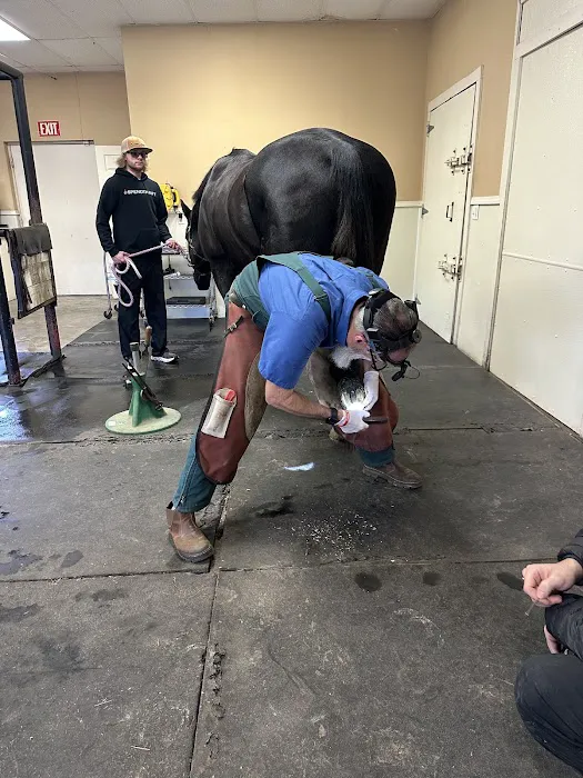 Northwest Equine Services Picture 3