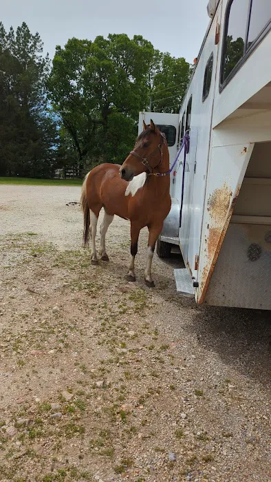 Northwest Equine Services Picture 1