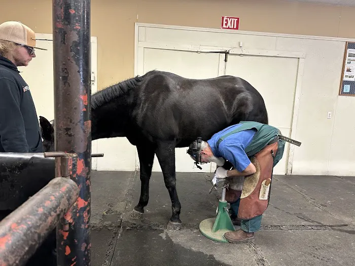 Northwest Equine Services Picture 2