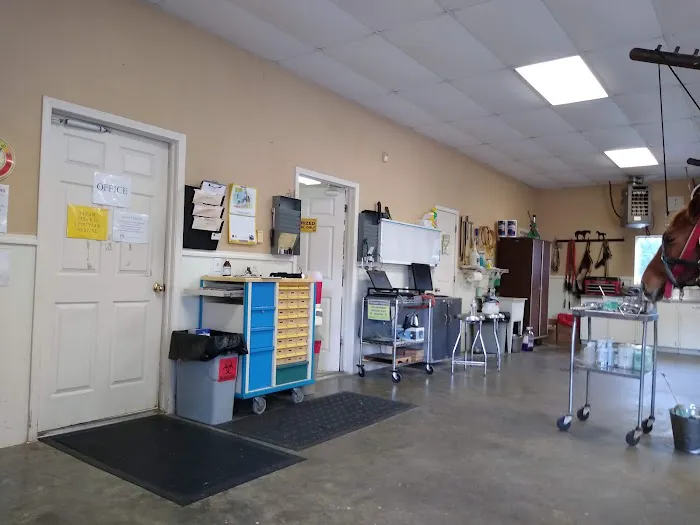 Northwest Equine Services Picture 6