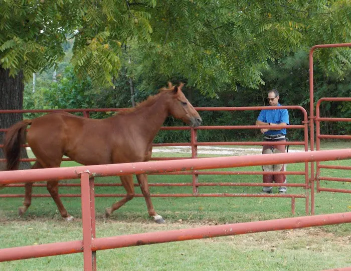 Northwest Equine Services Picture 10