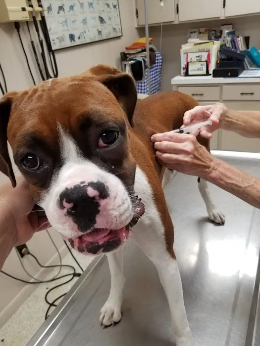 Smithers Animal Hospital of Lincoln Picture 1