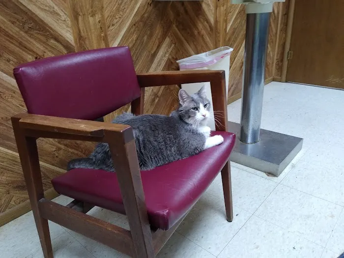 Smithers Animal Hospital of Lincoln Picture 8