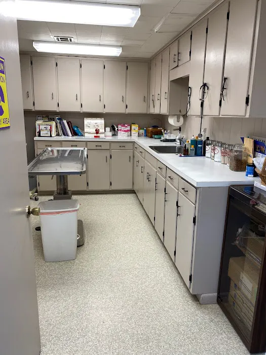 Smithers Animal Hospital of Lincoln Picture 7