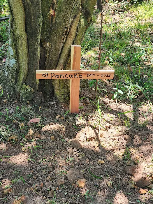 Smithers Animal Hospital of Lincoln Picture 5