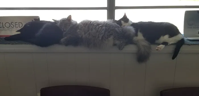 Smithers Animal Hospital of Lincoln Picture 6