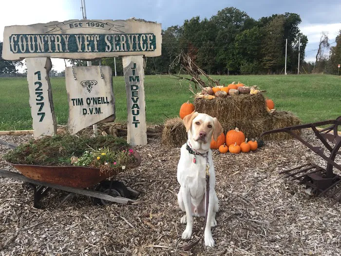 Country Veterinary Services Inc Picture 9