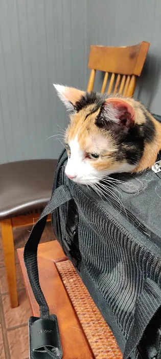 Vinewood Animal Clinic Picture 1