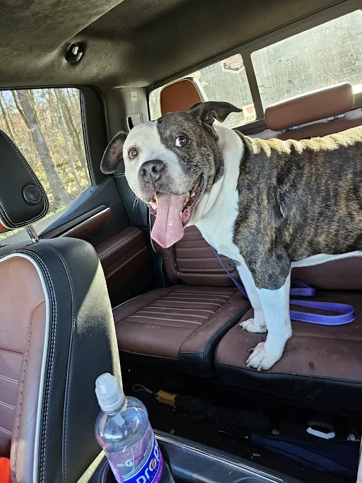 Vinewood Animal Clinic Picture 2