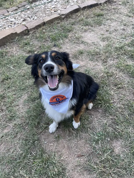 Vinewood Animal Clinic Picture 7