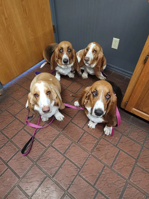 Vinewood Animal Clinic Picture 8