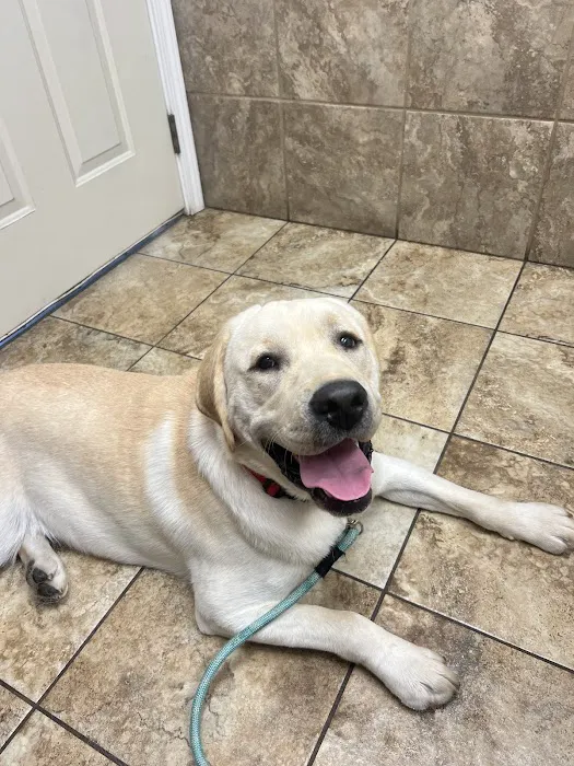 Wedington Animal Hospital Picture 2