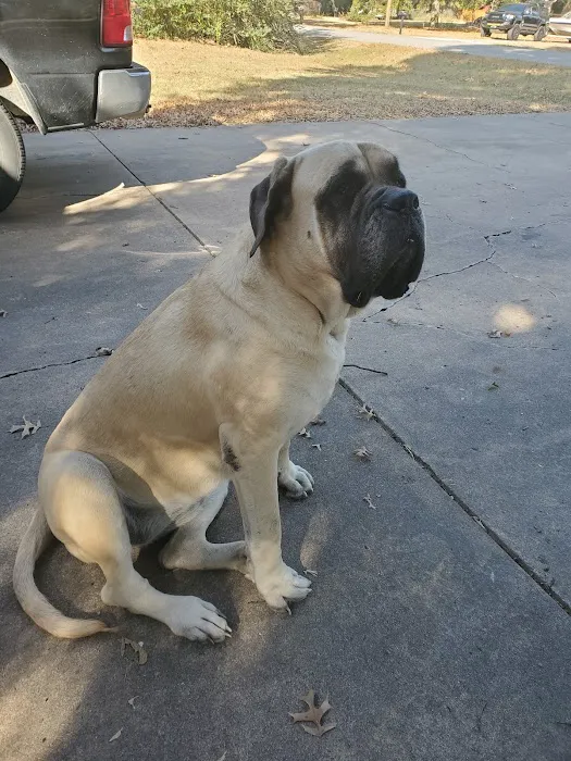 Wedington Animal Hospital Picture 5