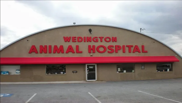 Wedington Animal Hospital Picture 7