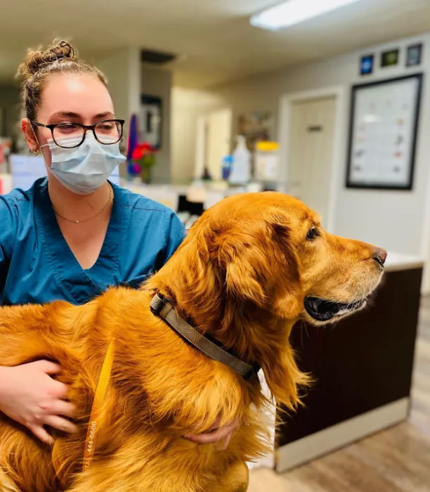 Wedington Animal Hospital Picture 10