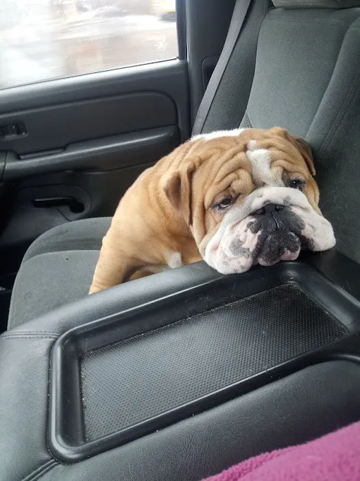 Lyon Veterinary Hospital Picture 1