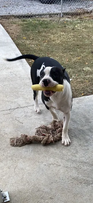 Lyon Veterinary Hospital Picture 4