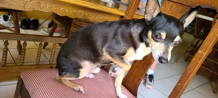 Lyon Veterinary Hospital Picture 2