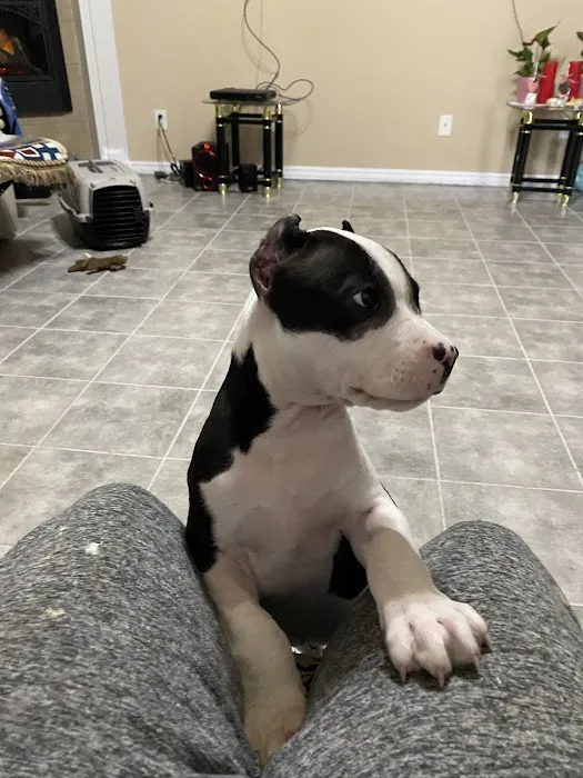 Lyon Veterinary Hospital Picture 3