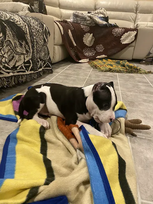 Lyon Veterinary Hospital Picture 6