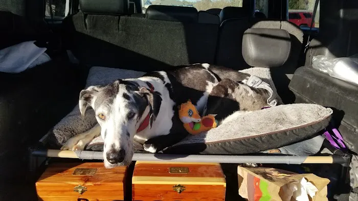 Lyon Veterinary Hospital Picture 9