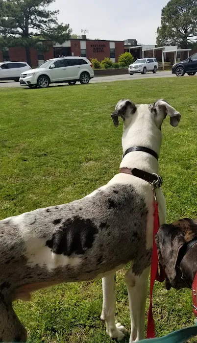 Lyon Veterinary Hospital Picture 10