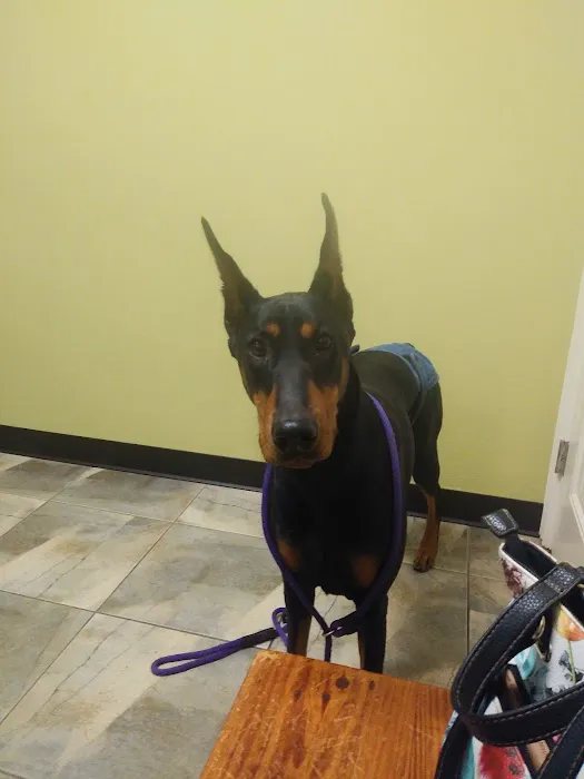 Lyon Veterinary Hospital Picture 7