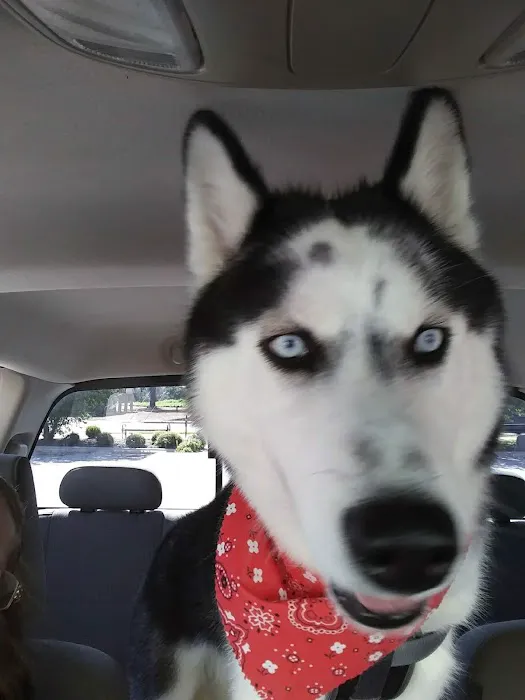 Lyon Bradley J DVM Picture 3