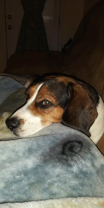 Lyon Bradley J DVM Picture 2