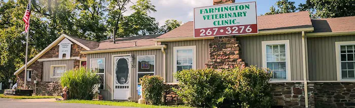 Farmington Veterinary Clinic, A Thrive Pet Healthcare Partner Picture 4