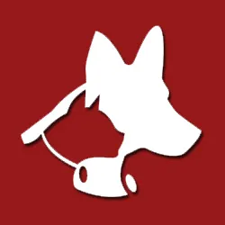 Farmington Veterinary Clinic, A Thrive Pet Healthcare Partner Picture 6