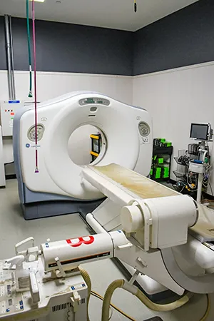 Ozark Veterinary Specialty Care Picture 10