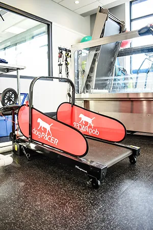 Ozark Veterinary Specialty Care Picture 8