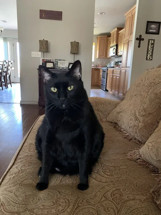 Animal Emergency and Specialty Center of Northwest Arkansas Picture 4