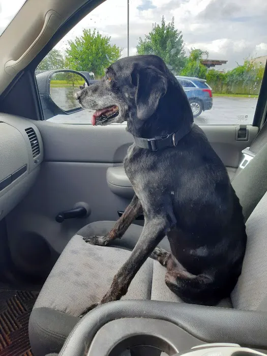 Animal Emergency and Specialty Center of Northwest Arkansas Picture 3